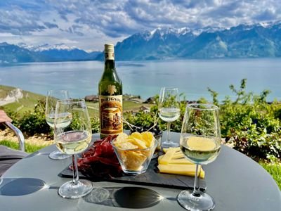 Lavaux Wine and Vineyard Experience with Boat Cruise